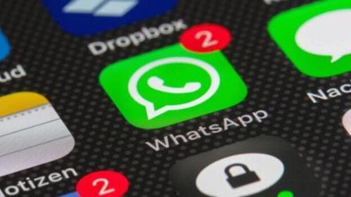 爆料视频语音下载安装,爆料视频语音下载安装全过程解析